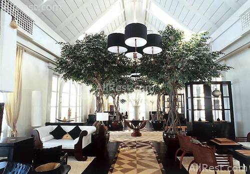 Banyan Tree Deluxe 14